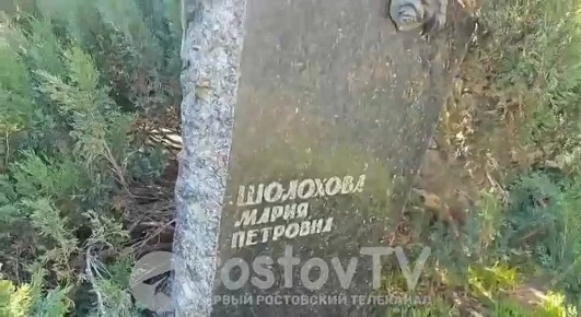   :   ,         