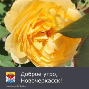 :  . ,               