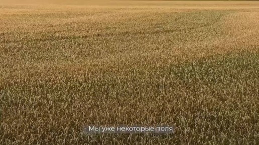  :  ,            