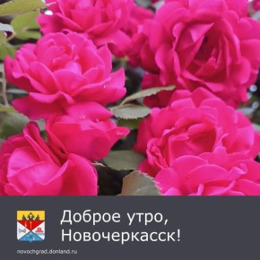  . ,               