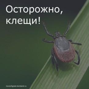 ,      ,     
