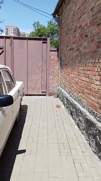 -       - &quot;&quot;
