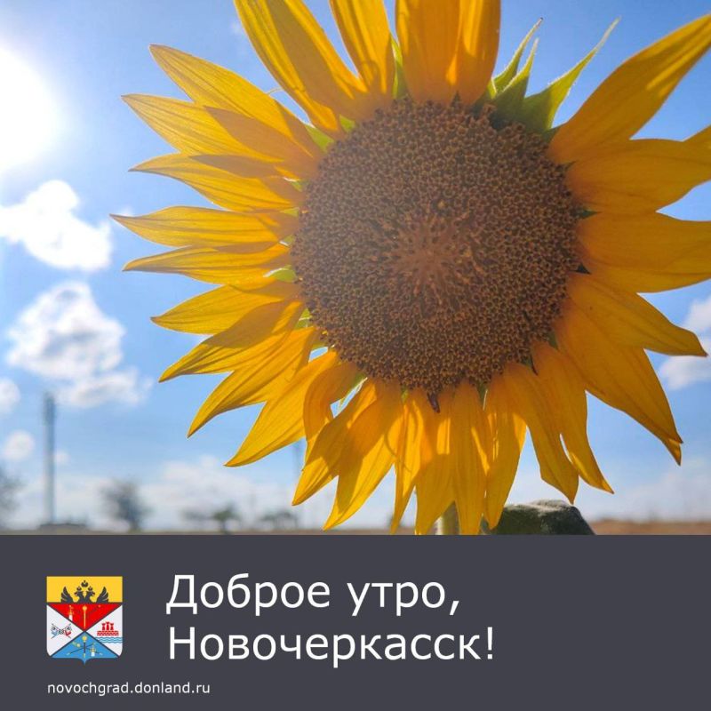 :  . ,               
