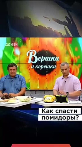  ,     ?