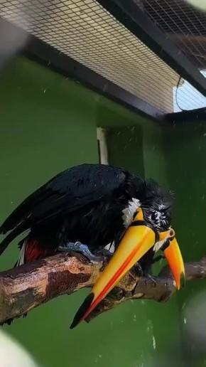     &quot;&quot;   