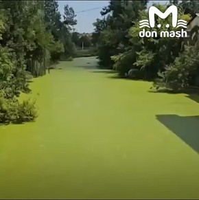 &quot;  -    ,      &quot;