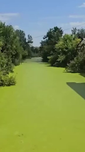&quot; ,  &quot;:      