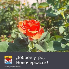 :  . ,               