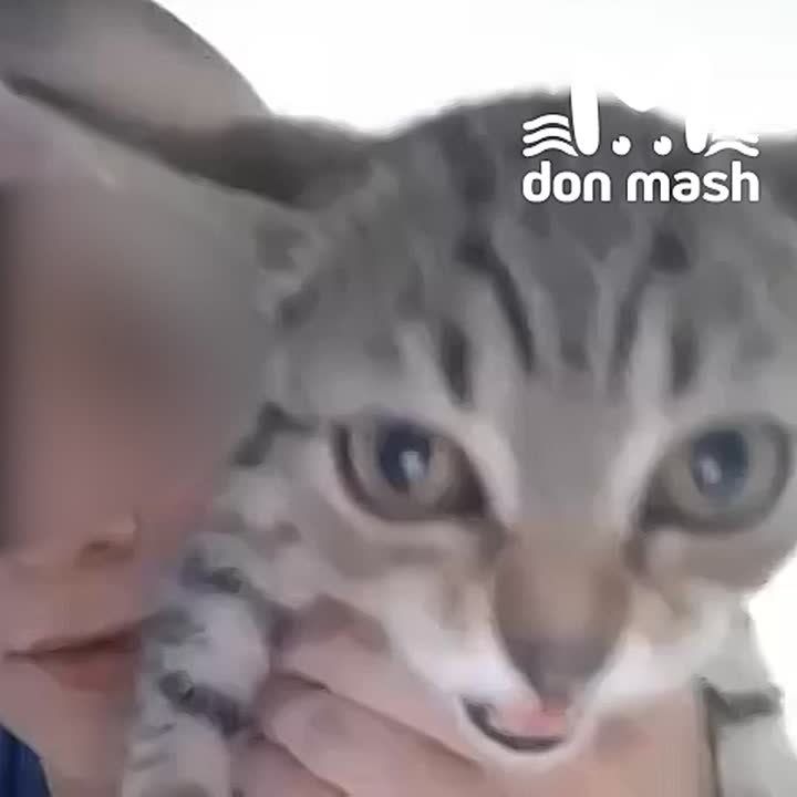   ,     