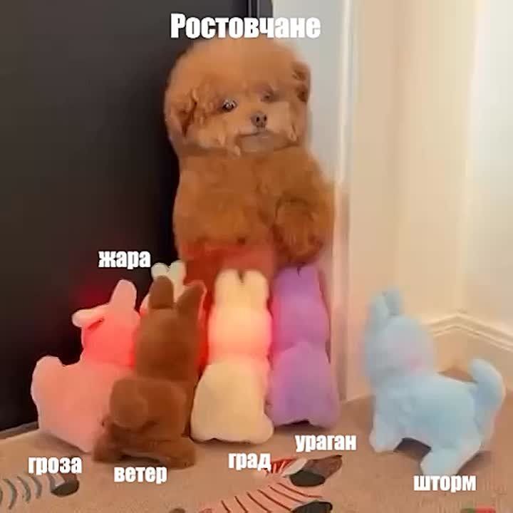  +40 .          