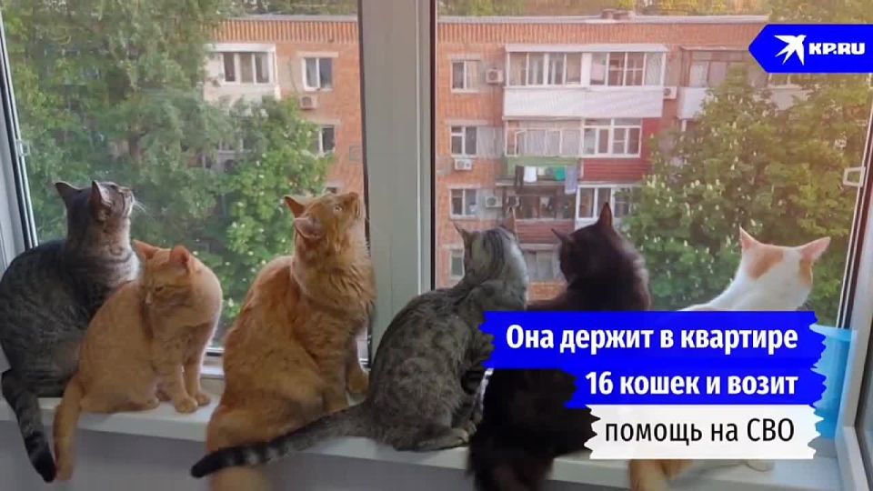 16        :        