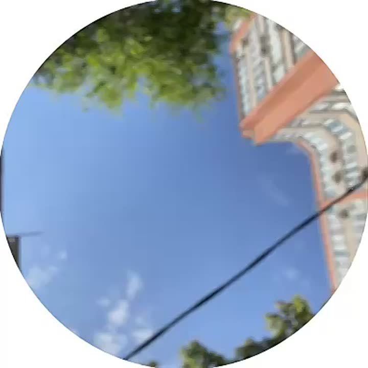          --