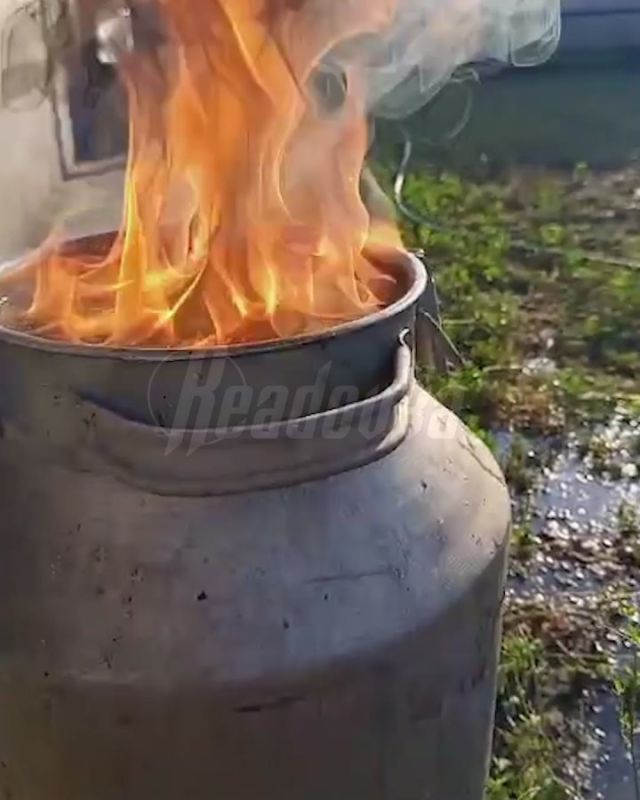   ,      ,       