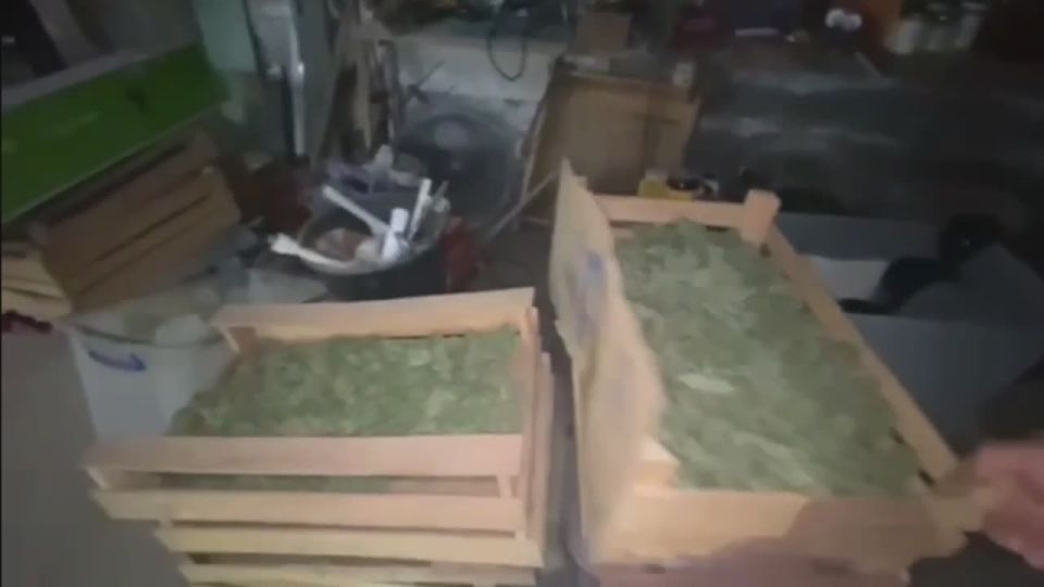       44-   ,     