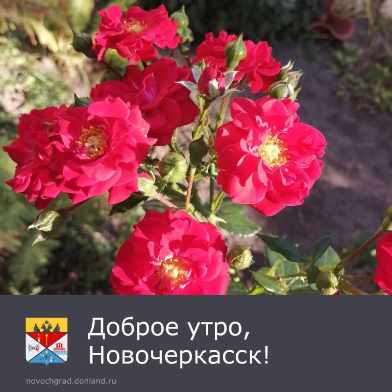 :  .. ,               
