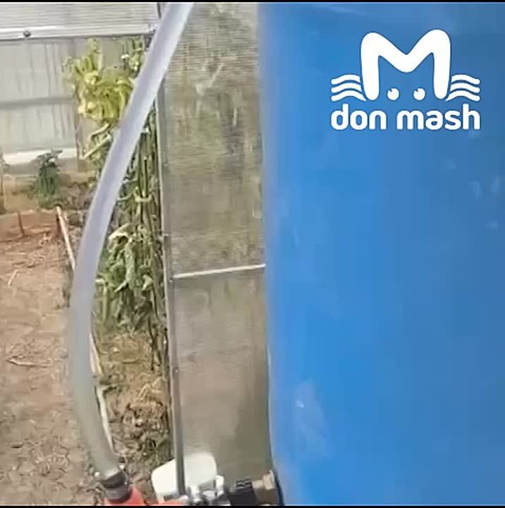 ,           