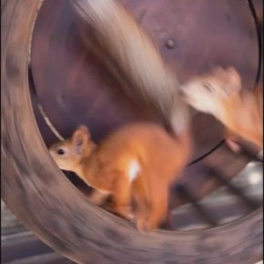     ,       &quot;&quot;    