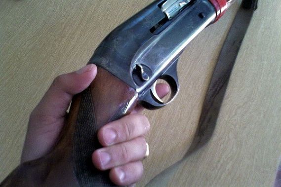     ,     