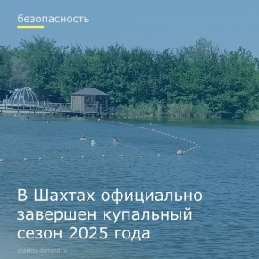   2025    31 