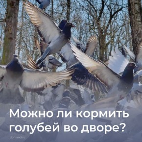 ________________. #