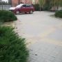   Porshe,      