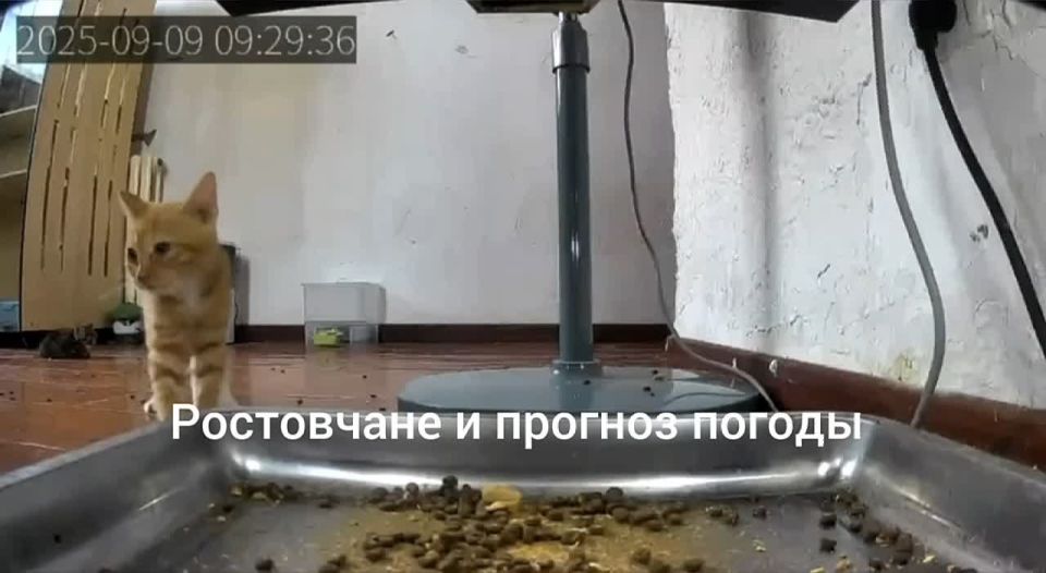 , ,        