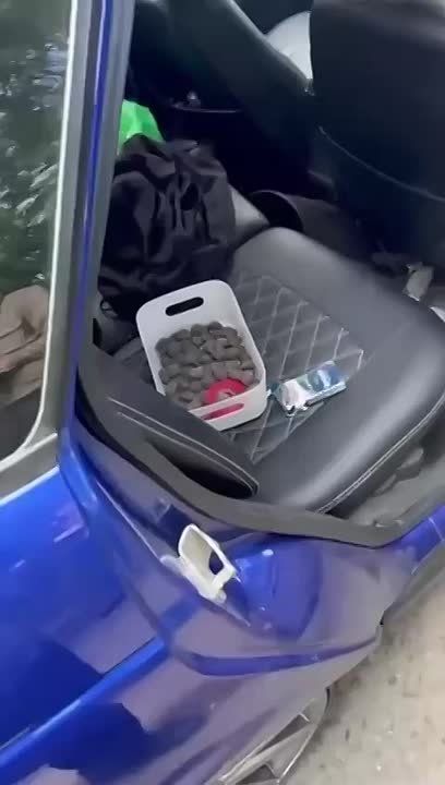              ,   
