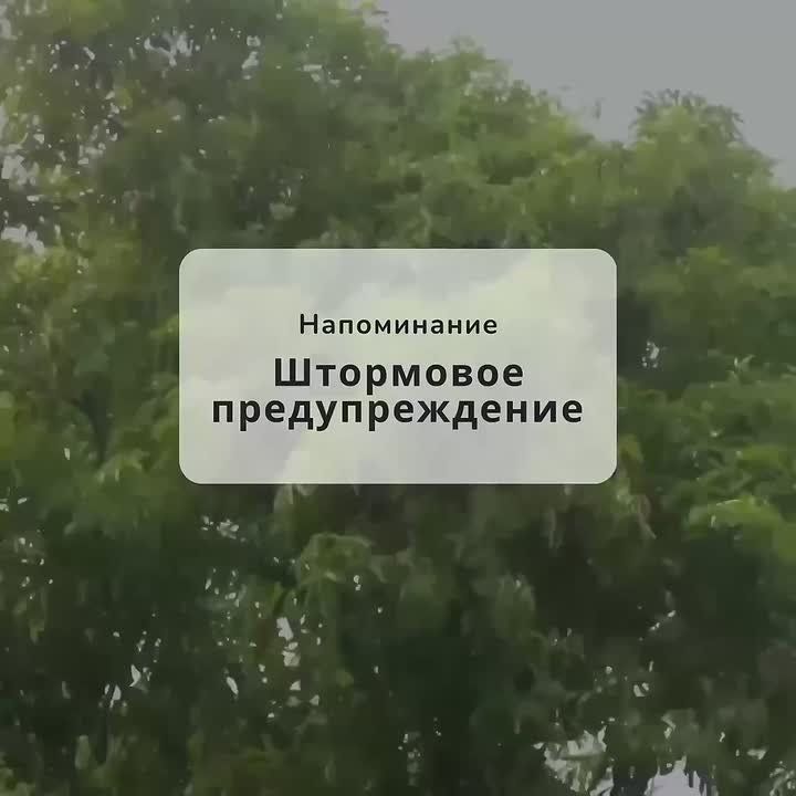  !.   ,              :  ,     ,    ...