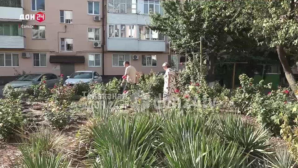     :       
