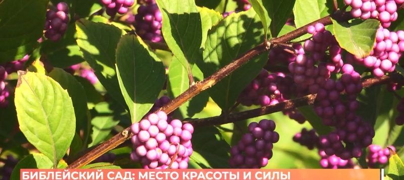  :    
