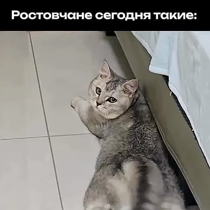   .  ,       - 