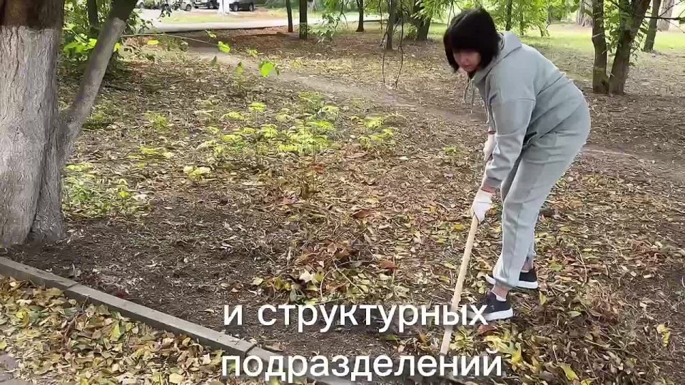   .             . ..    . 