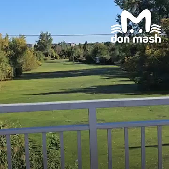        ,    