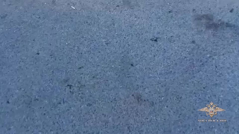  : ,    ,       