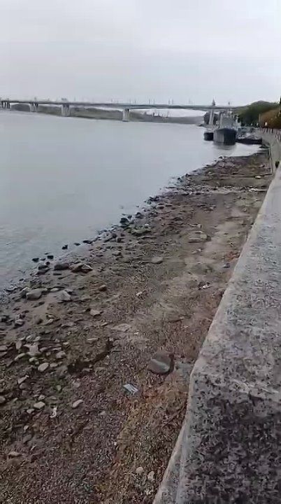 -           - DONTR.RU