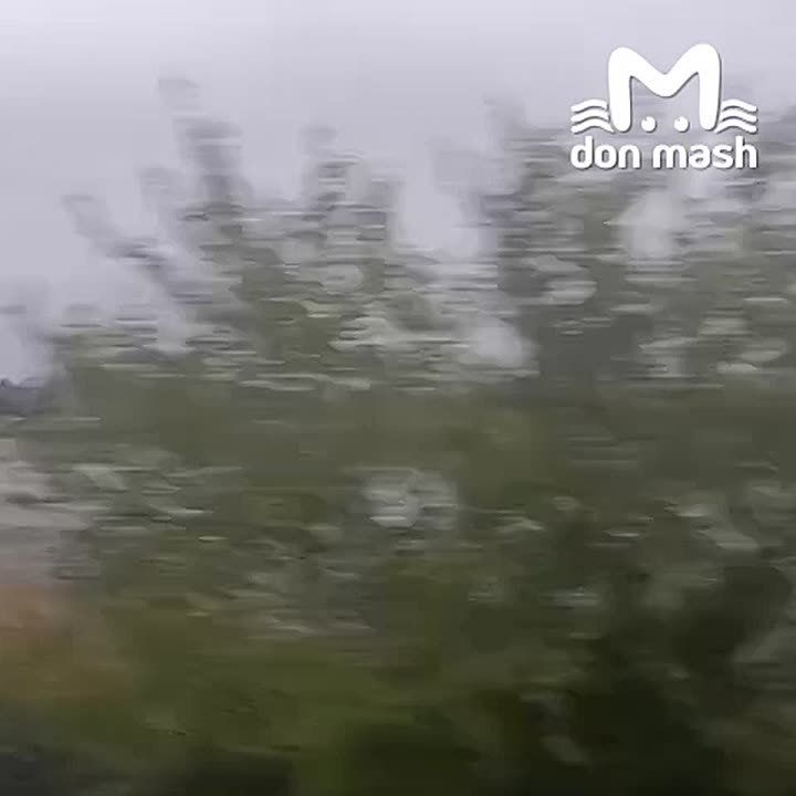  ,     -  ,     ̸   