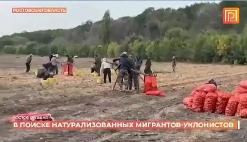         :               ,  ...