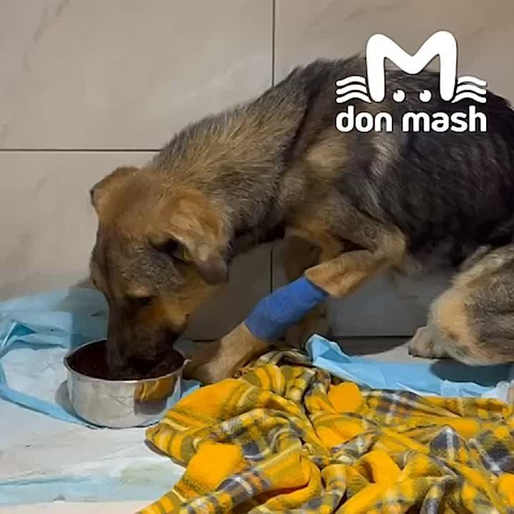   ,       