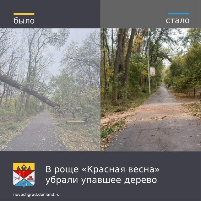 В Администрацию города через платформу обратной связи поступило сообщение с просьбой убрать упавшее дерево на пешеходную дорожку в роще «Красная весна»