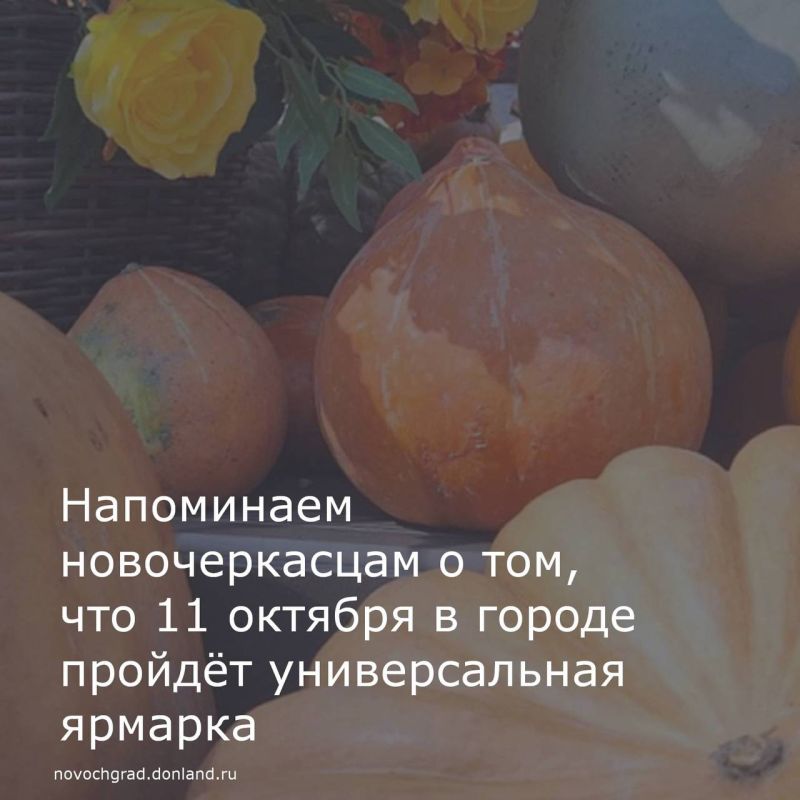  ,  11      