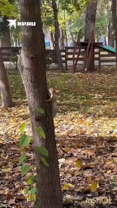    :      !