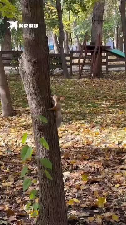    :      !
