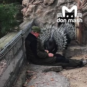  .                &quot;&quot;