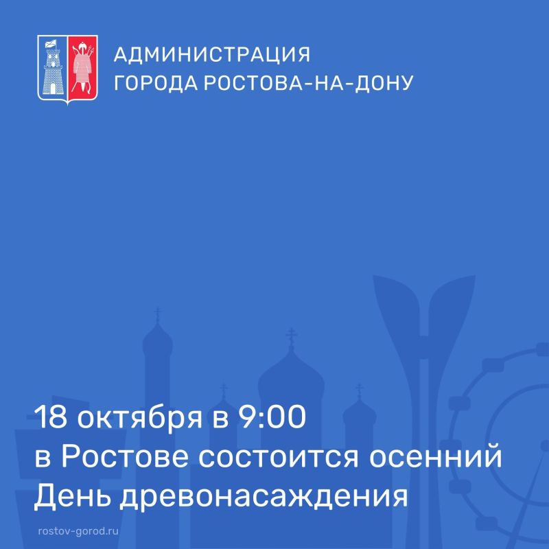       15  :
