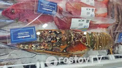Дневник Татьяны Бочаровой: хроники рыбного форума в Питере