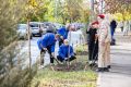 На ул. Благодатной в Ростове восстановили аллею «Славы и благодарности медицинским работникам»
