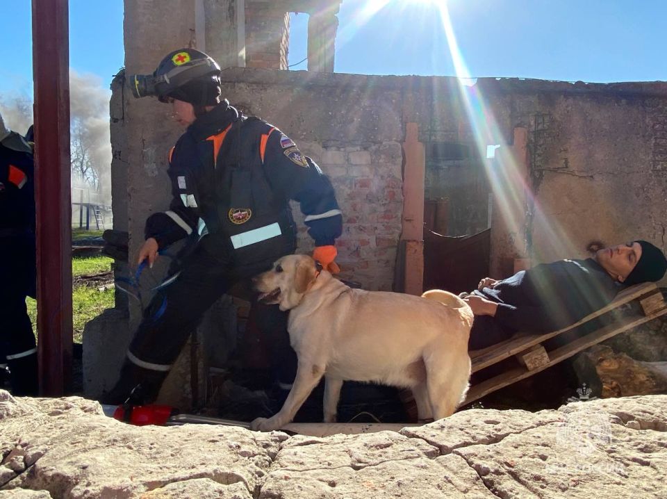 #?.   29  2025  -         :