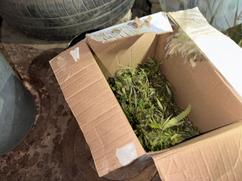 В Егорлыкском районе полицейские задержали подозреваемого в хранении наркотиков в крупном размере