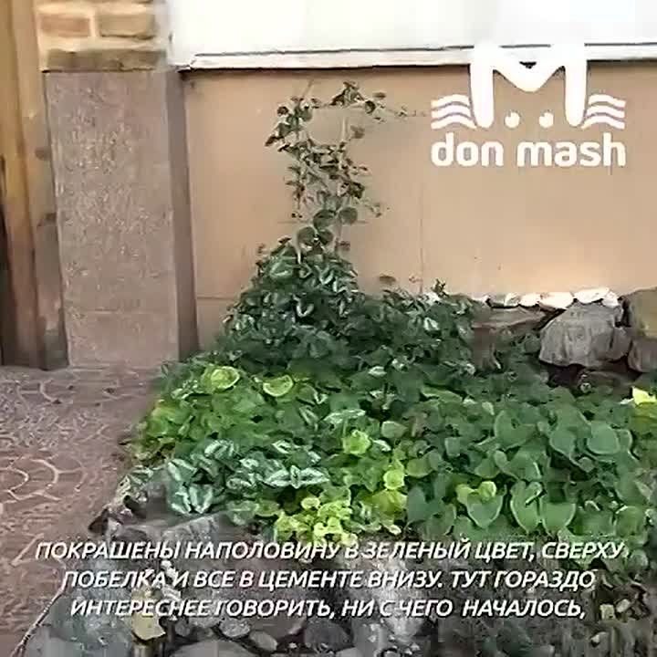 Ростовский художник больше 20 лет украшал территорию многоэтажки на Добровольского