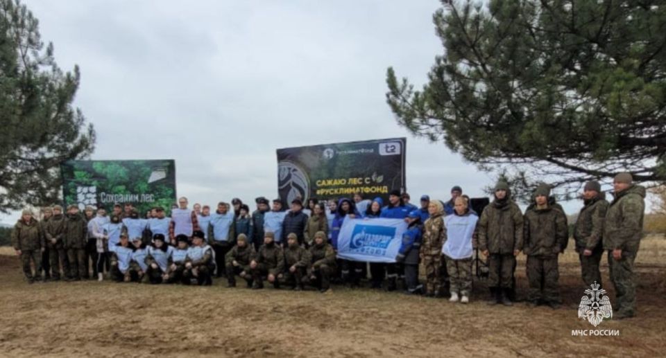 В Каменском районе сотрудники МЧС России приняли участие в Дне древонасаждения